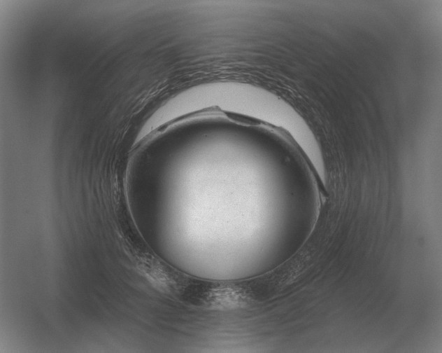 X0000056370704200509021814