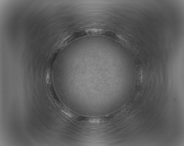 X0000056370709200509021814