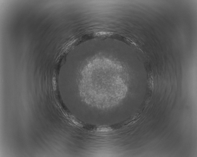 X0000056370716200509021814