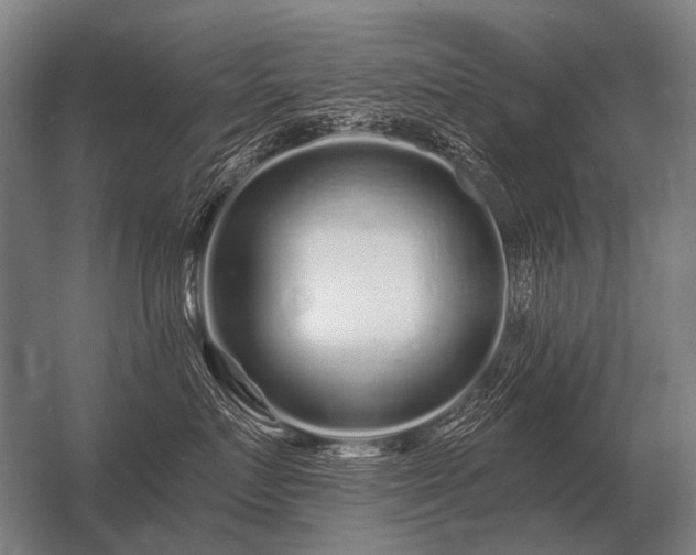 X0000056370719200509021814