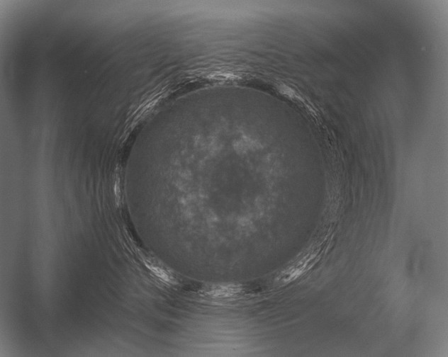 X0000056370720200509021814