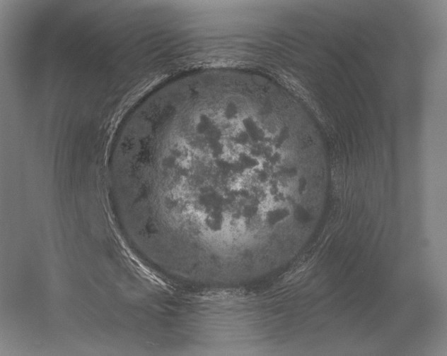 X0000056370721200509021813