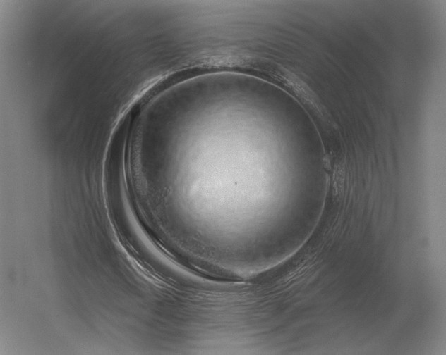 X0000056370722200509021813