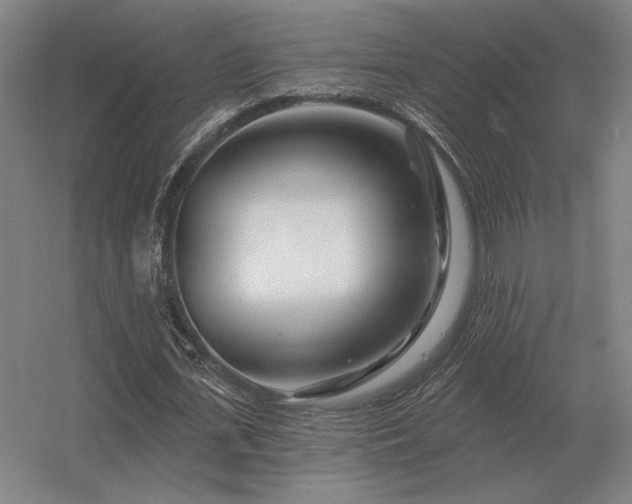 X0000056370723200509021813