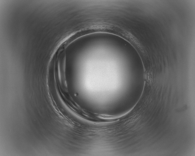 X0000056370724200509021813