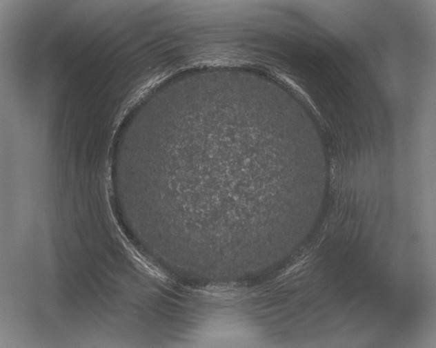 X0000056370725200509021813