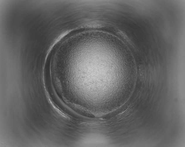 X0000056370726200509021813