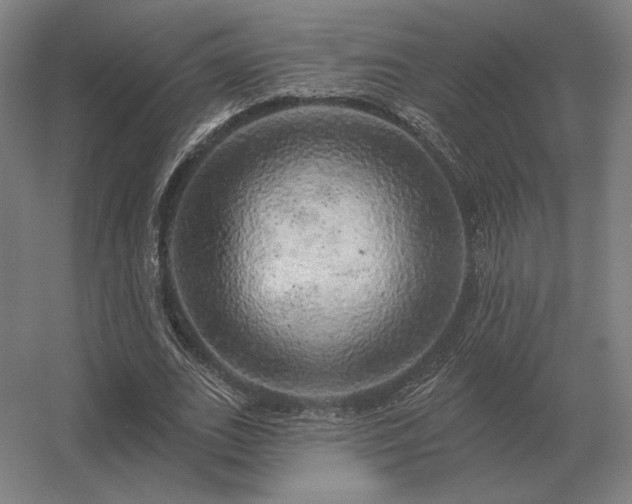 X0000056370727200509021813