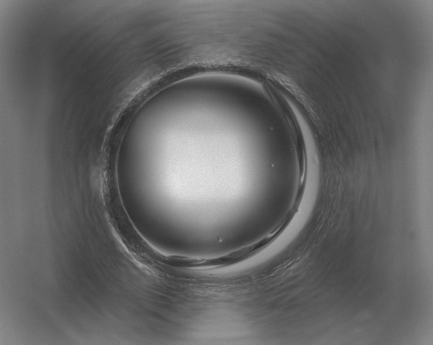 X0000056370728200509021813