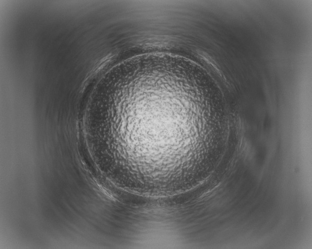 X0000056370729200509021813