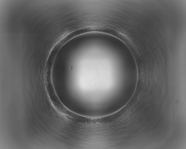 X0000056370730200509021813