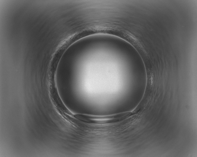 X0000056370732200509021813