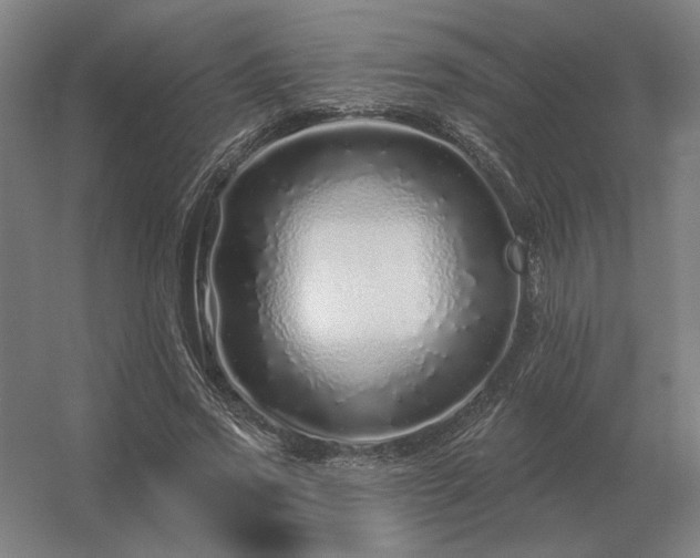 X0000056370733200509021813