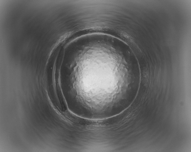 X0000056370734200509021813