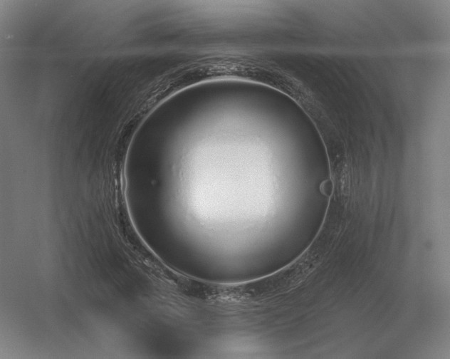 X0000056370737200509021813