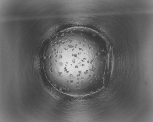 X0000056370738200509021813