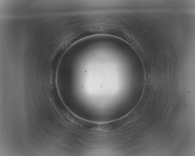 X0000056370739200509021814