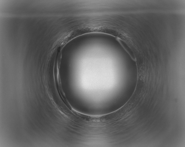 X0000056370740200509021814