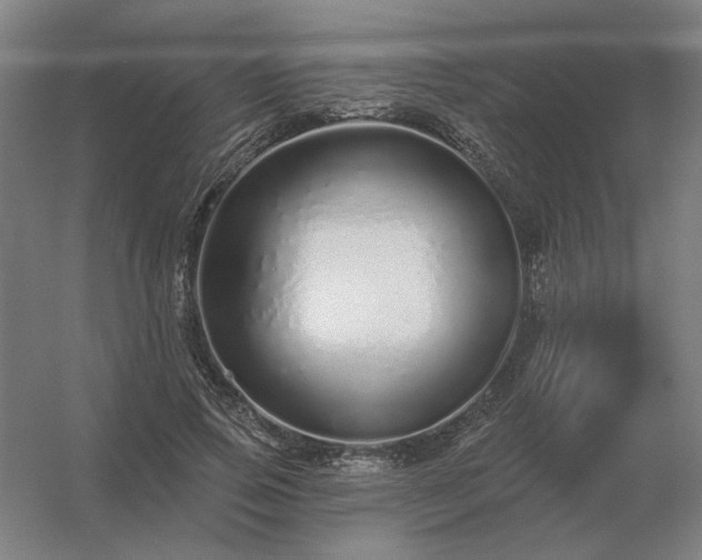 X0000056370741200509021814