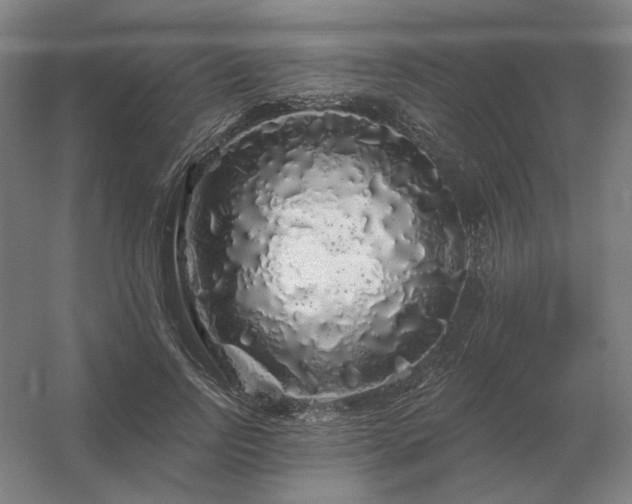 X0000056370742200509021814