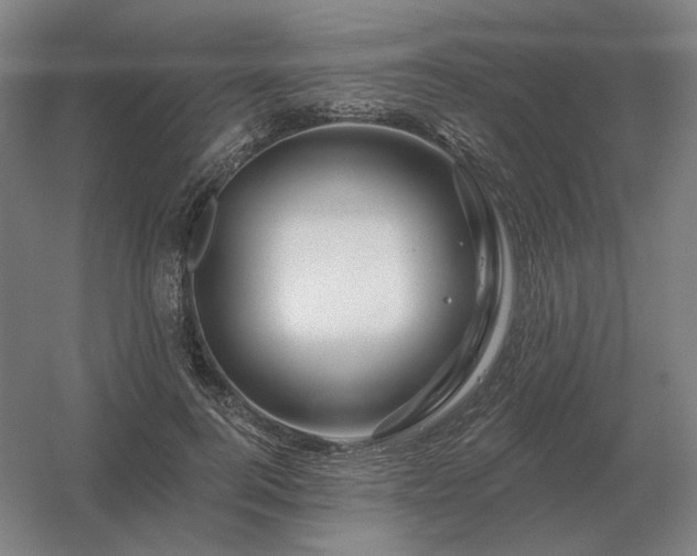 X0000056370744200509021814