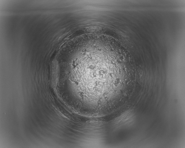 X0000056370745200509021814