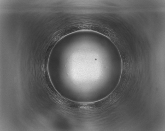 X0000056370749200509021814