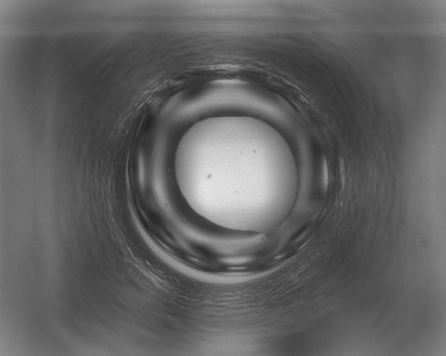 X0000056370750200509021814