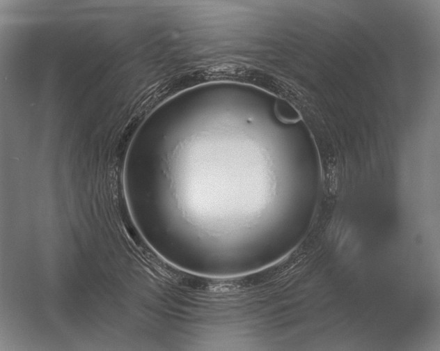 X0000056370753200509021814