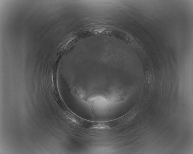 X0000056370754200509021814