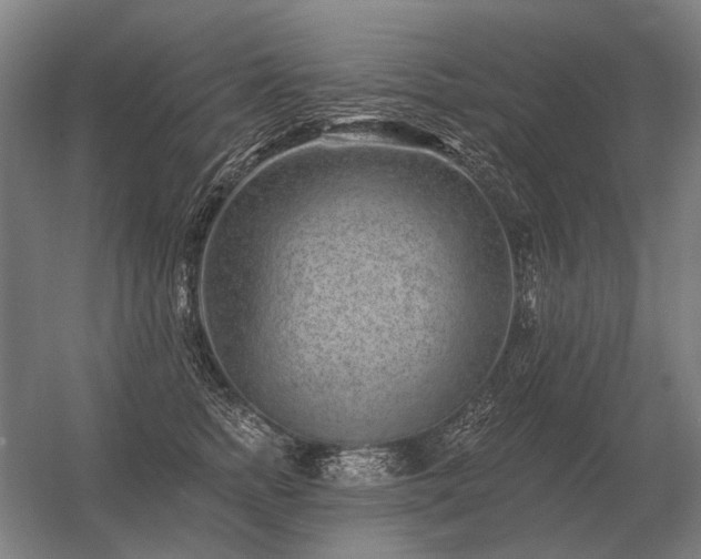 X0000056370758200509021814