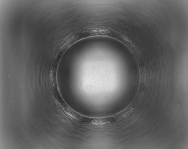 X0000056370764200509021814