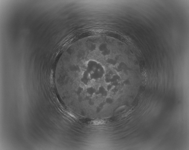 X0000056370765200509021814