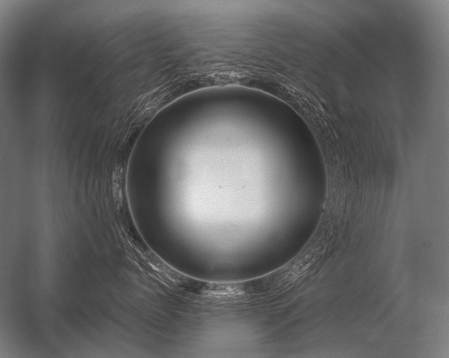 X0000056370768200509021814