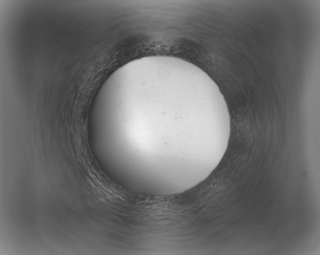 X0000056370769200509021813