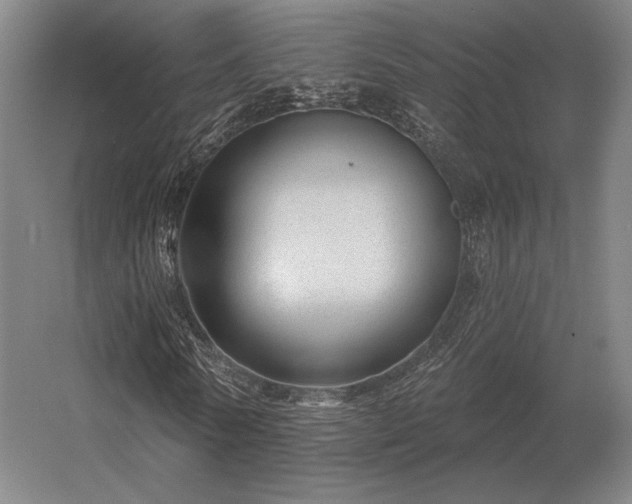 X0000056370770200509021813