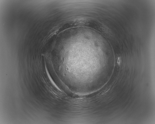 X0000056370771200509021813