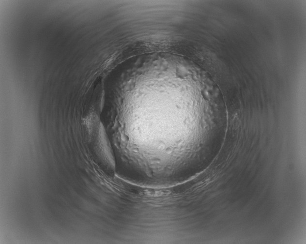 X0000056370772200509021813