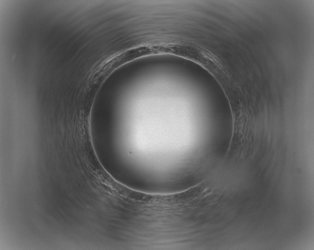 X0000056370773200509021813