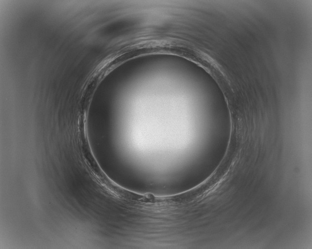 X0000056370778200509021813