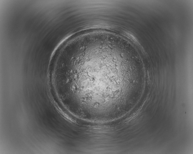 X0000056370780200509021813