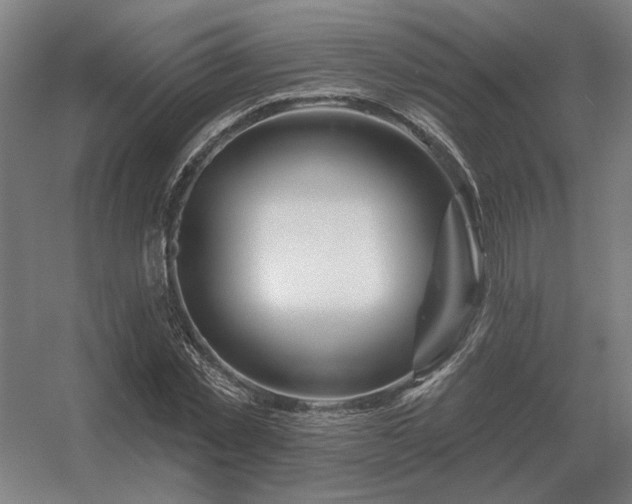 X0000056370781200509021813