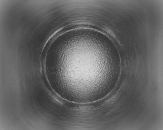 X0000056370782200509021813