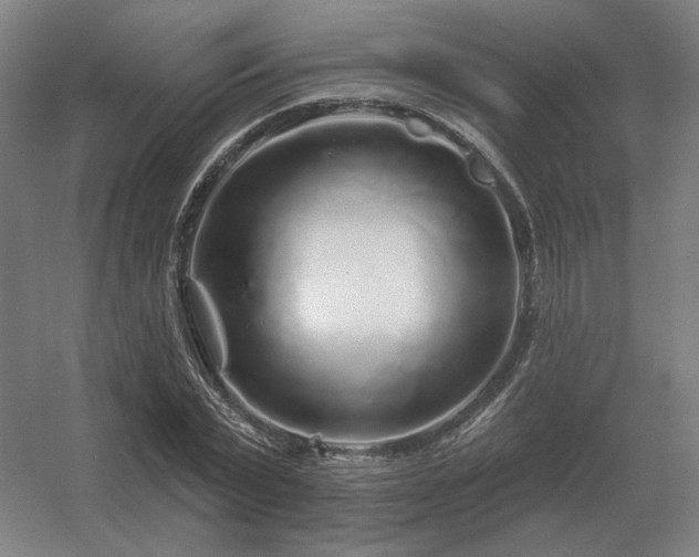 X0000056370783200509021813