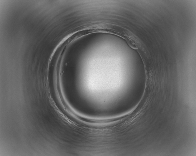 X0000056370784200509021813