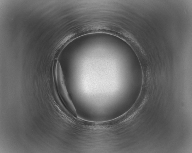 X0000056370785200509021813