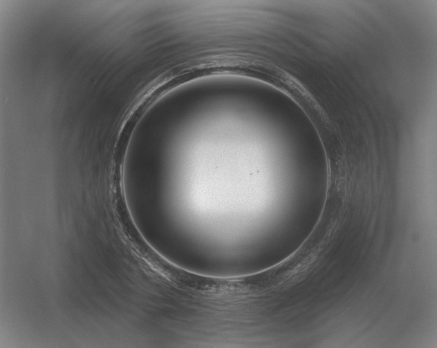 X0000056370786200509021813