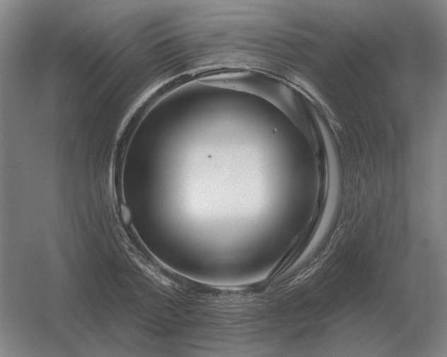 X0000056370788200509021813