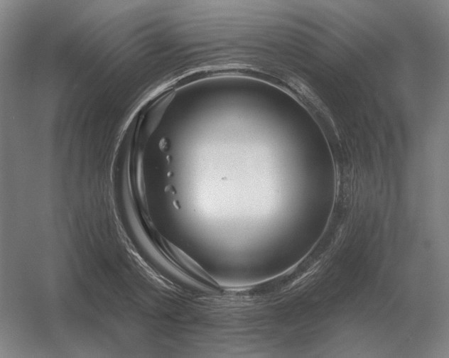 X0000056370789200509021813