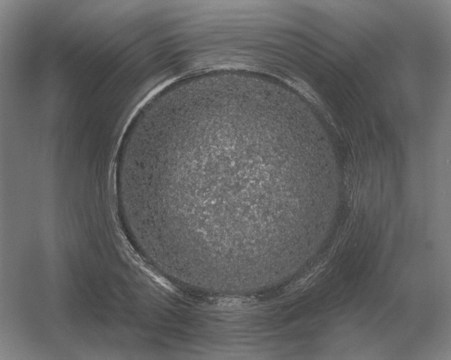 X0000056370790200509021813